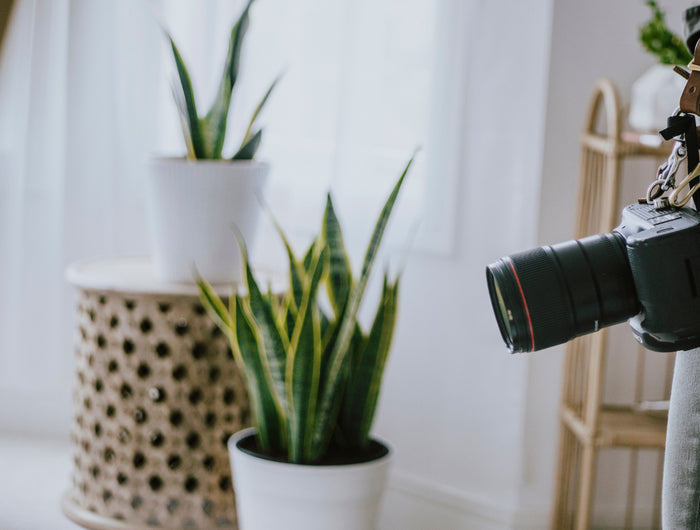 <h1><strong>Estudio fotográfico profesional en Barcelona</strong></h1>